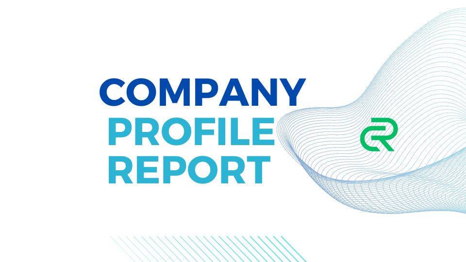 Corporation Profile Report